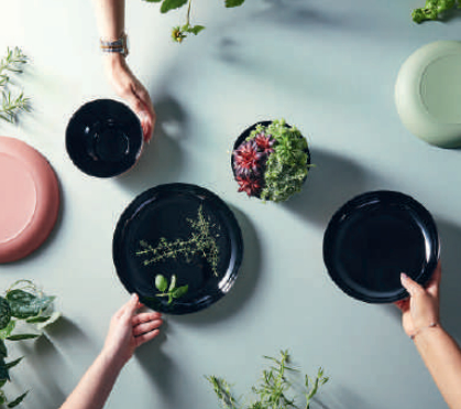 75 Pièces Assiettes Et Serviettes En Papier Vert Sauge - Temu France