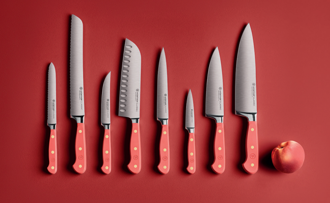 Classic Bloc couteaux avec 5 couteaux with Santoku - WÜSTHOF